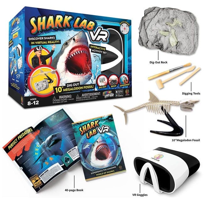 ABACUS VR STEAM SHARK LAB