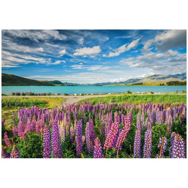 CLEMENTONI HQC LUPINS AT LAKE TEKAPO - 1500 PCS PUZZLE