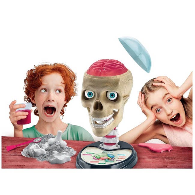 CLEMENTONI ANATOMY LAB