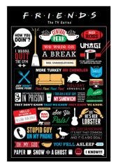 WARNER BROS FRIENDS INFOGRAPHIC MAXI POSTERS