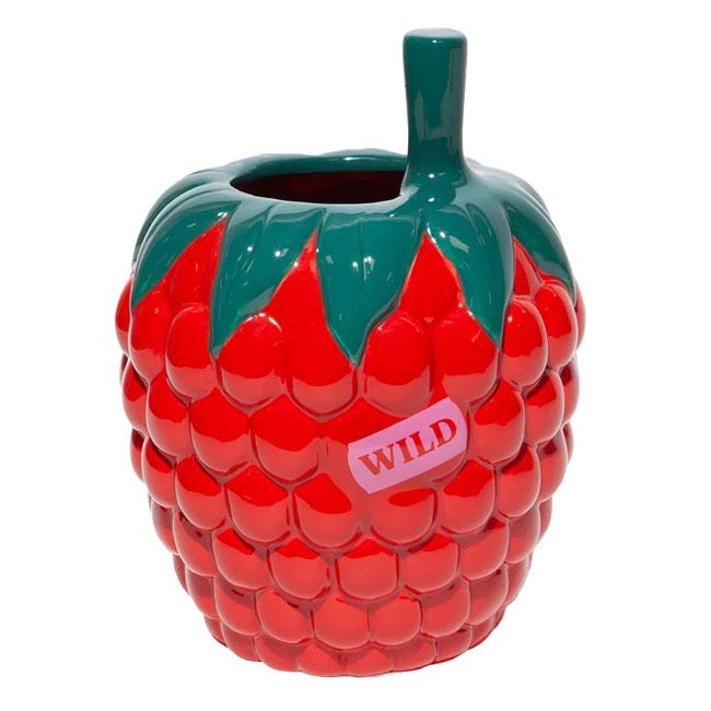 DOIY VASE FARMERS MARKET RASPBERRY