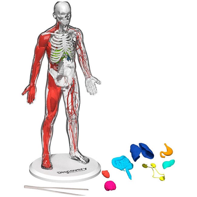 DISCOVERY MINDBLOWN ANATOMY STEM TOYS KIT