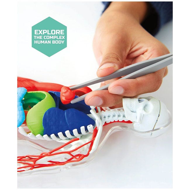 DISCOVERY MINDBLOWN ANATOMY STEM TOYS KIT