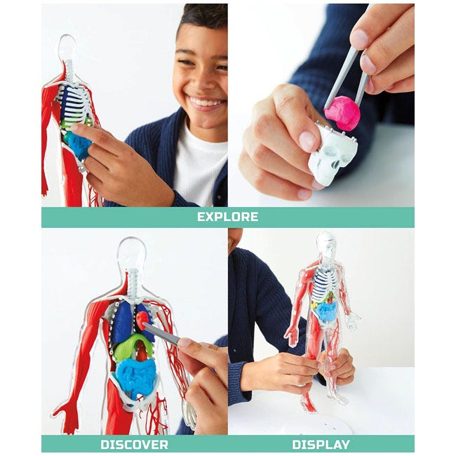 DISCOVERY MINDBLOWN ANATOMY STEM TOYS KIT