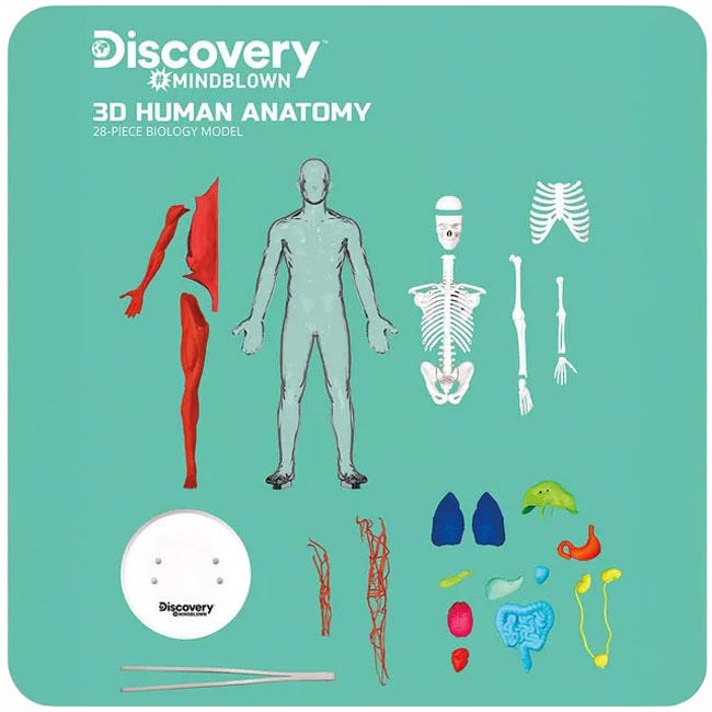 DISCOVERY MINDBLOWN ANATOMY STEM TOYS KIT