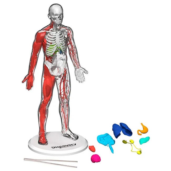 DISCOVERY MINDBLOWN ANATOMY STEM TOYS KIT