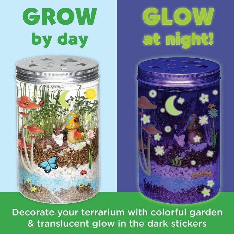 CREATIVITY FOR KIDS GROW N' GLOW TERRARIUM