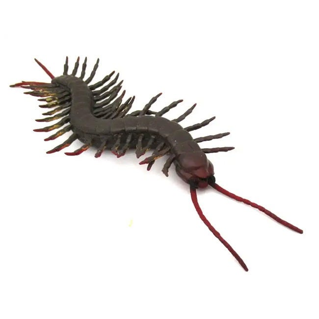 GALAXY TOYS ANIMAL TOY-CENTIPEDE