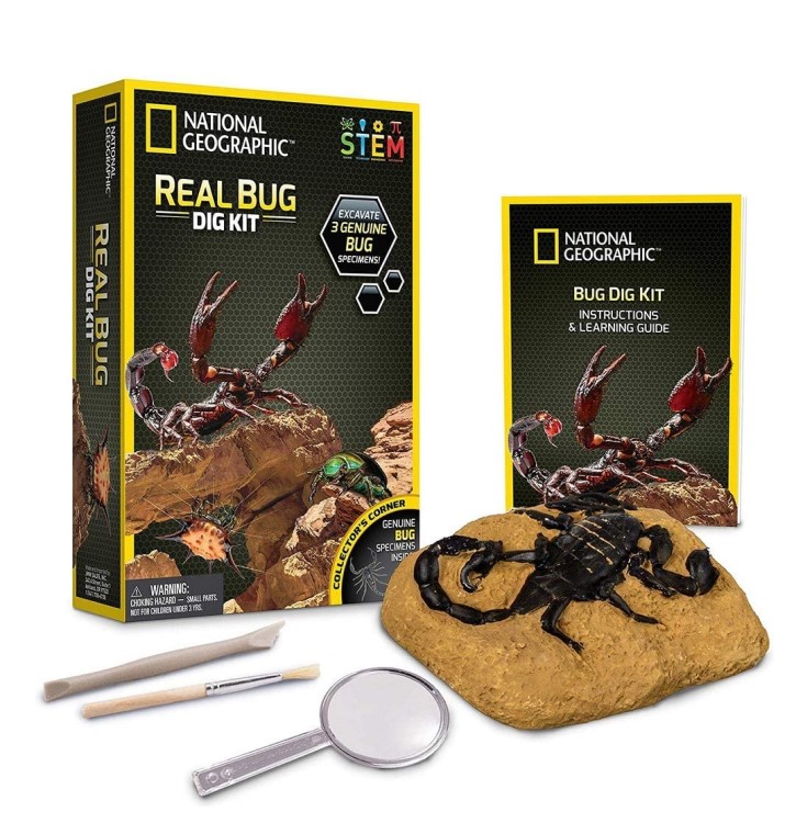 NATIONAL GEOGRAPHIC BUG DIG KIT