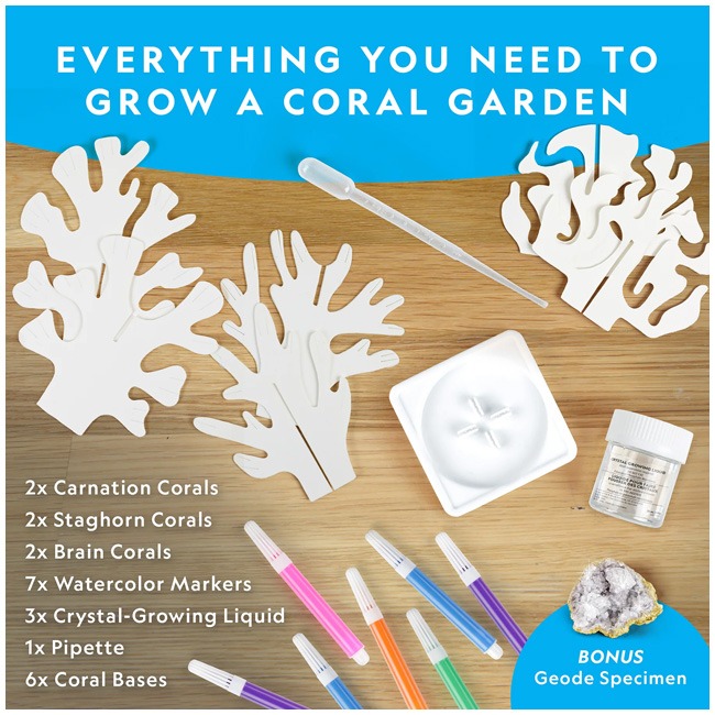 NATIONAL GEOGRAPHIC CRYSTAL REEF CORAL GROWINATIONAL GEOGRAP