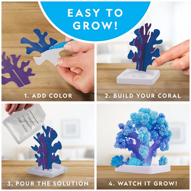 NATIONAL GEOGRAPHIC CRYSTAL REEF CORAL GROWINATIONAL GEOGRAP