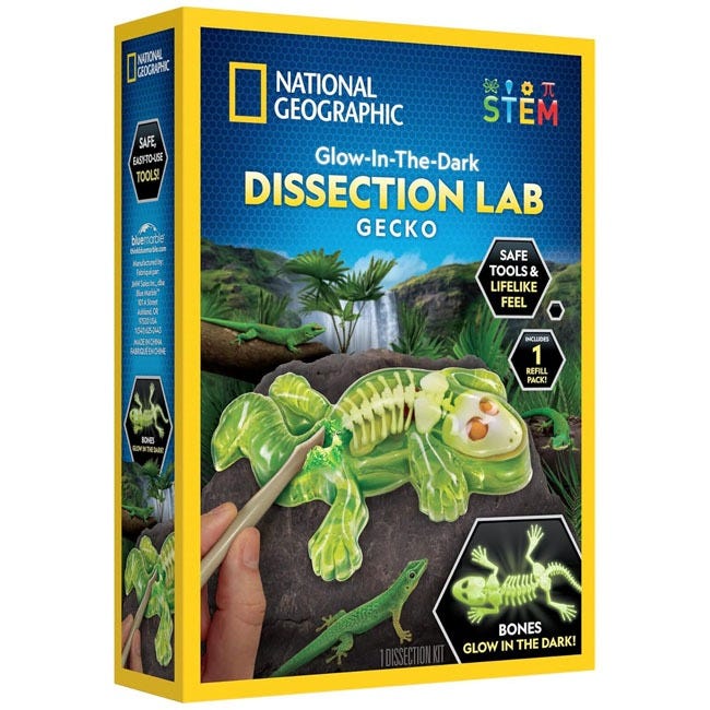 NATIONAL GEOGRAPHIC GLOW-IN-THE-DARK GECKO DISSECTION LAB