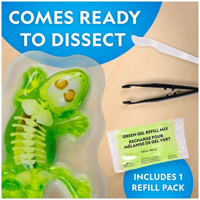 NATIONAL GEOGRAPHIC GLOW-IN-THE-DARK GECKO DISSECTION LAB