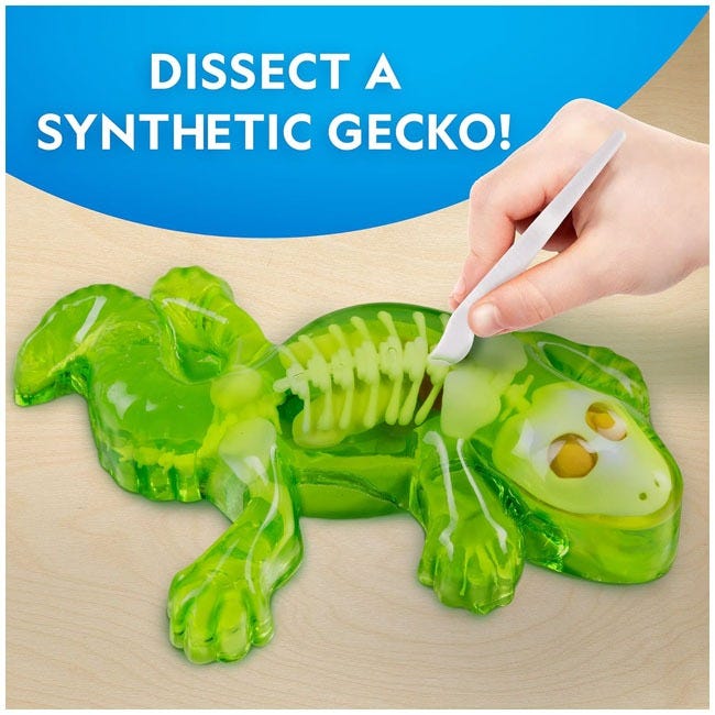 NATIONAL GEOGRAPHIC GLOW-IN-THE-DARK GECKO DISSECTION LAB