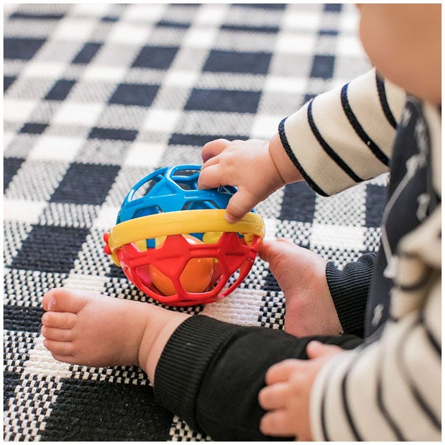 BABY EINSTEIN BENDY BALL RATTLE TOY