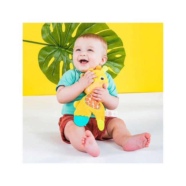 BRIGHT STARTS SNUGGLE AND TEETHE PLUSH TOY