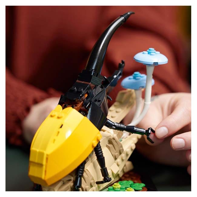 LEGO IDEAS THE INSECT COLLECTION