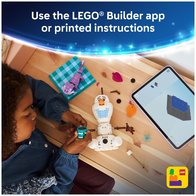 LEGO DISNEY FROZEN OLAF AND BRUNI'S PICNIC FUN