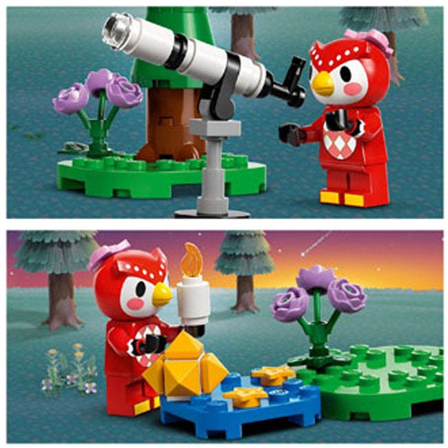 LEGO ANIMAL CROSSING STARGAZING WITH CELESTE