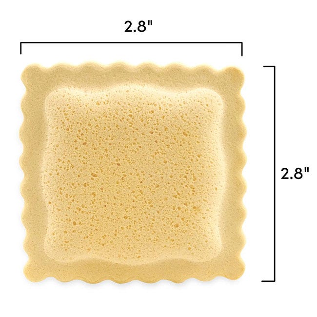 FRED SPONGES - SPONGIOLI-6