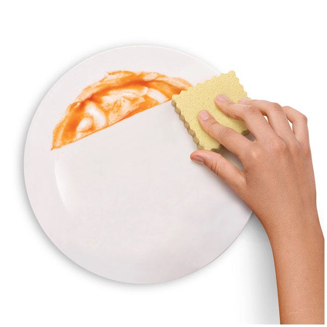 FRED SPONGES - SPONGIOLI-6