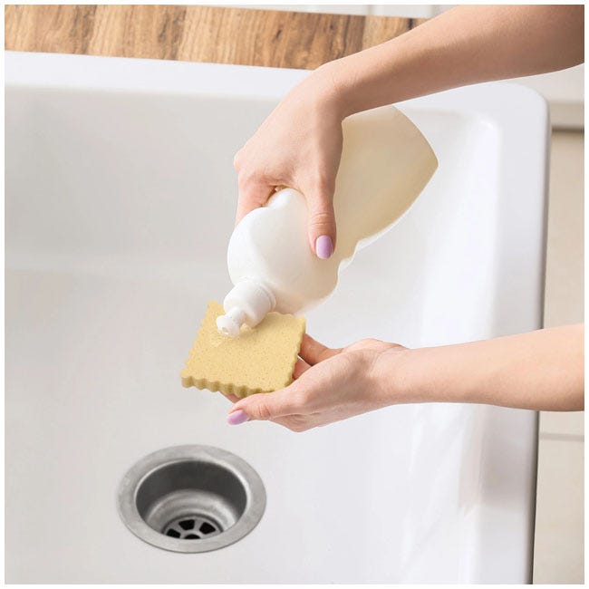 FRED SPONGES - SPONGIOLI-6