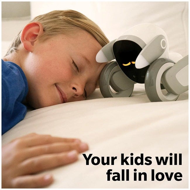 LOONA - SMART ROBOT - PREMIUM KIT