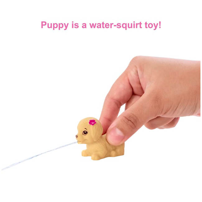 BARBIE SKIPPER DOLL AND WATERPARK PLAYSET