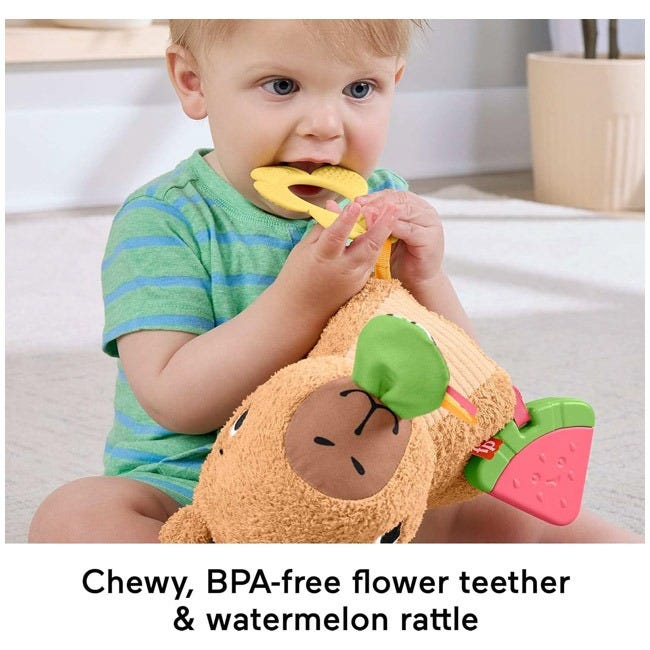 FISHER PRICE BABY SENSORY TOY SNUGGLY SNACKY CAPYBARA PLUSH