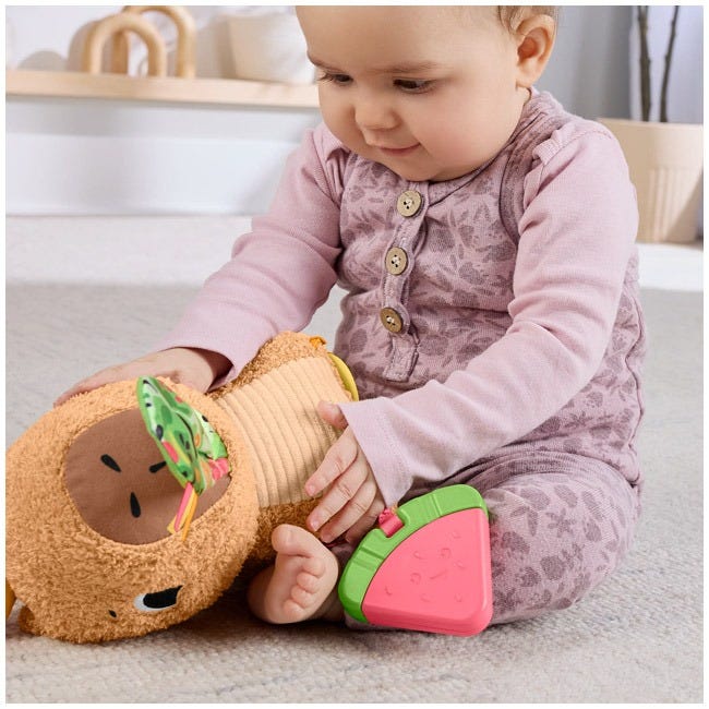FISHER PRICE BABY SENSORY TOY SNUGGLY SNACKY CAPYBARA PLUSH