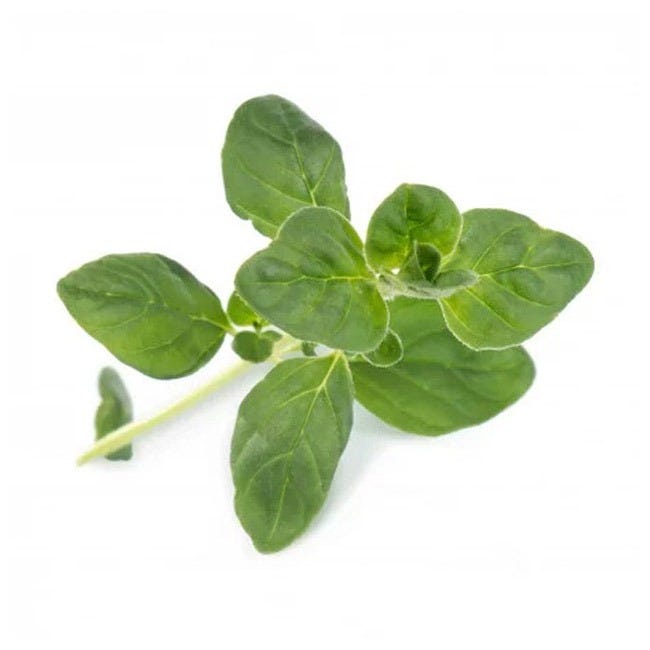VERITABLE LINGOT OREGANO ORGANIC