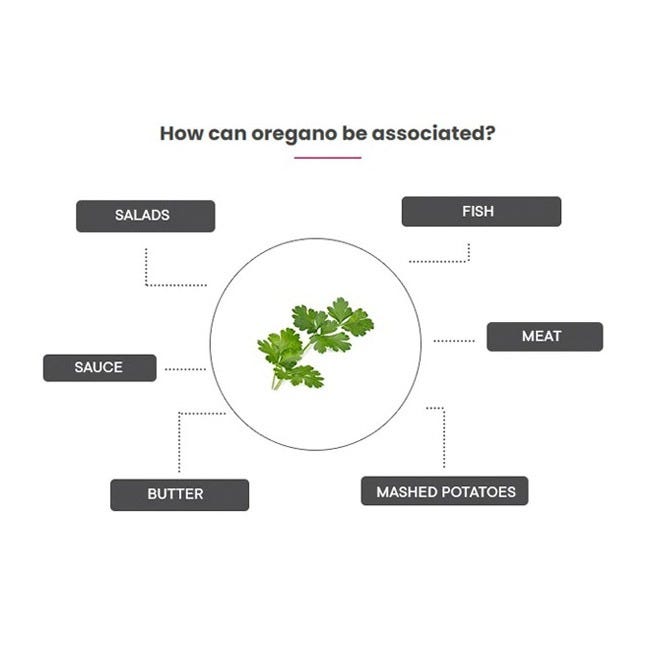 VERITABLE LINGOT ITALIAN PARSLEY ORGANIC