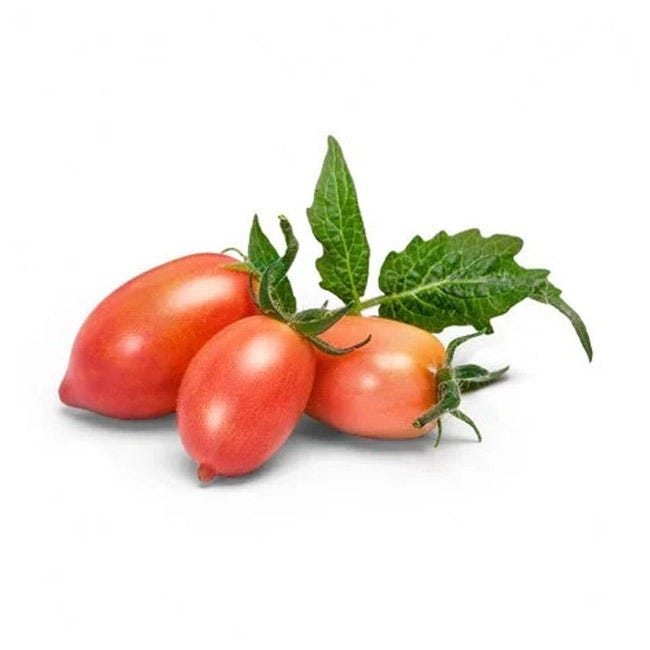VERITABLE LINGOT PINK MINI-TOMATO