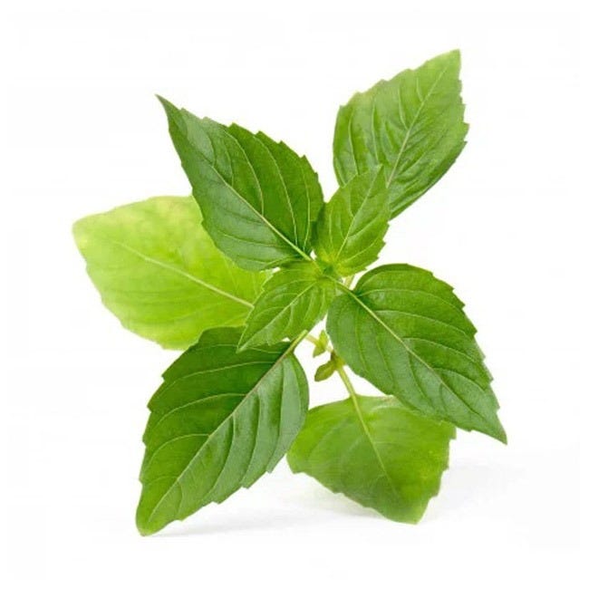 VERITABLE LINGOT THAI BASIL ORGANIC