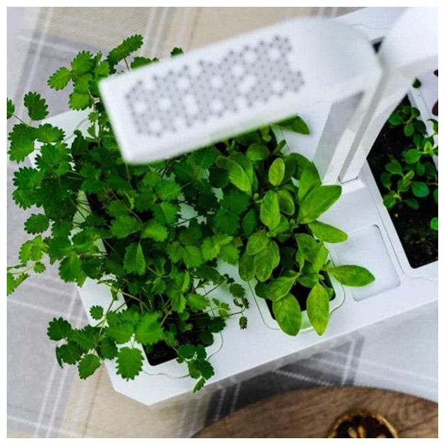 VERITABLE CLASSIC GARDEN