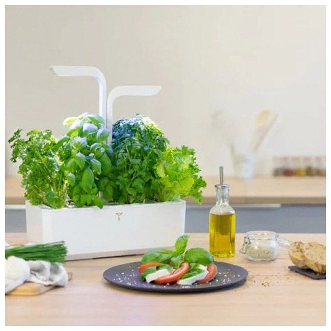 VERITABLE CLASSIC GARDEN