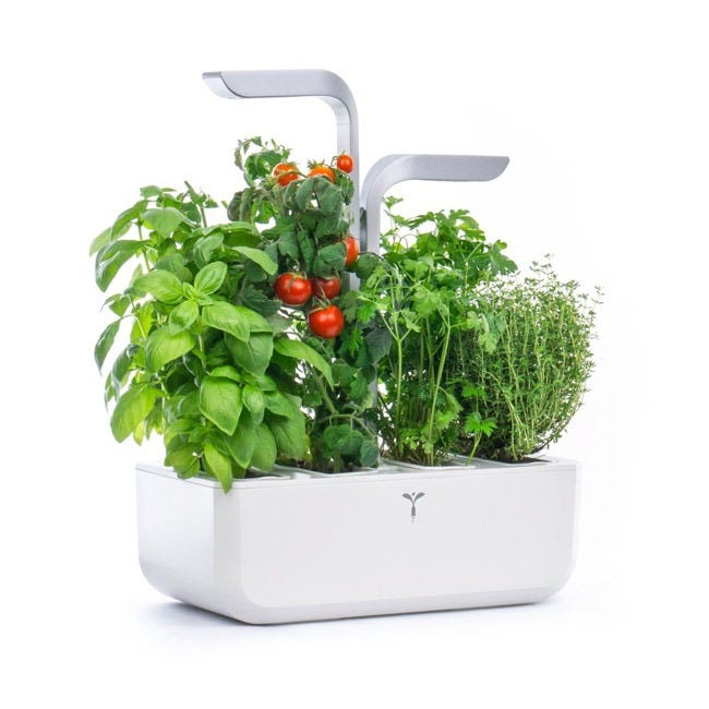 VERITABLE SMART ARCTIC WHITE