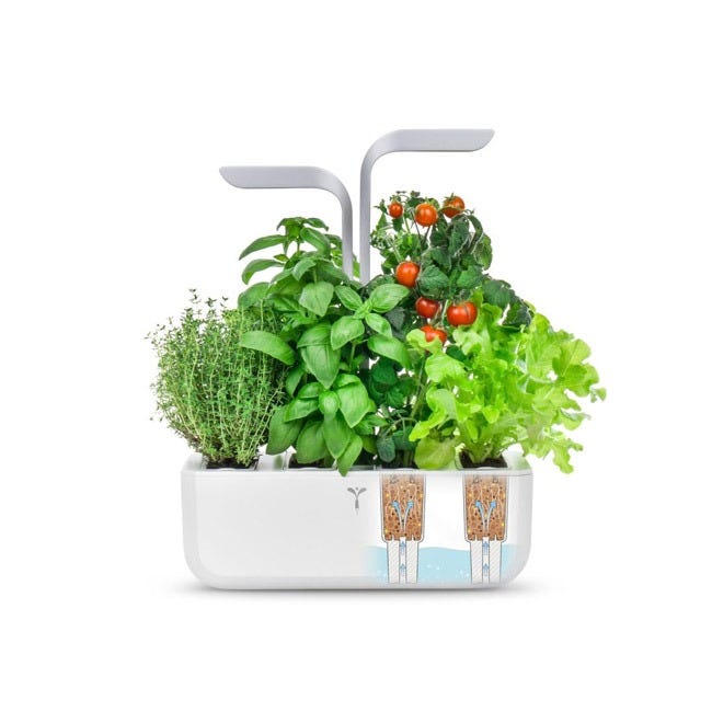 VERITABLE SMART ARCTIC WHITE