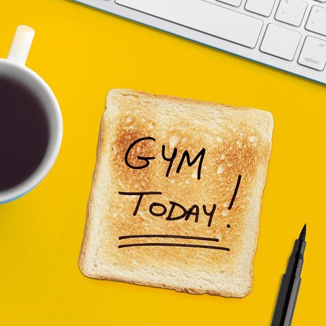 MUSTARD TOASTY NOTES