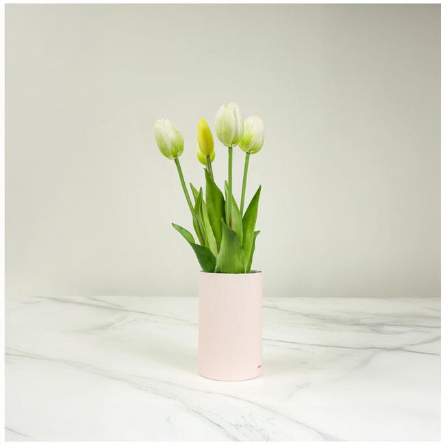 NODITO TULIP 5 STEMS WITH SACHET WHITE FLORAL SCENT