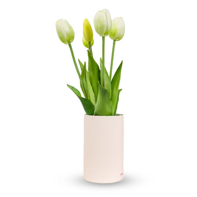 NODITO TULIP 5 STEMS WITH SACHET WHITE FLORAL SCENT