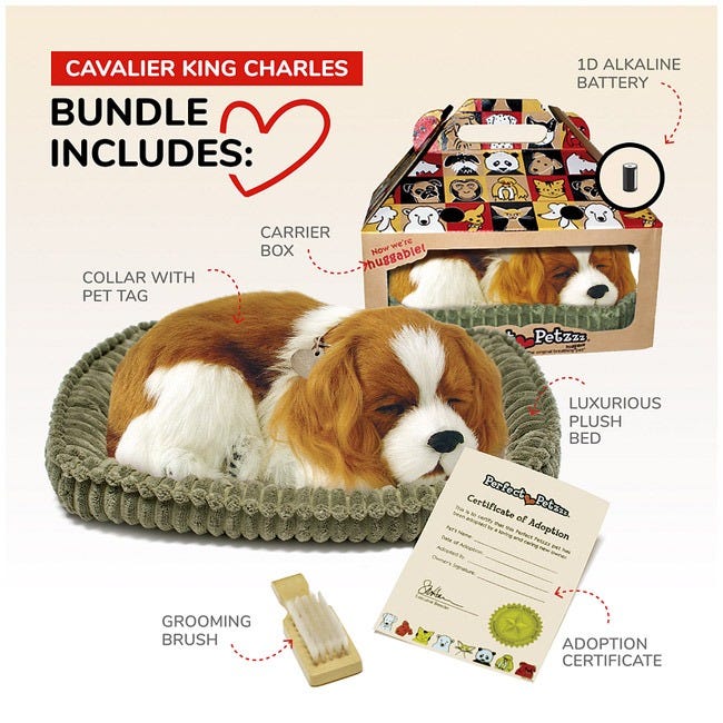 PERFECT PETZ CAVALIER KING CHARLES