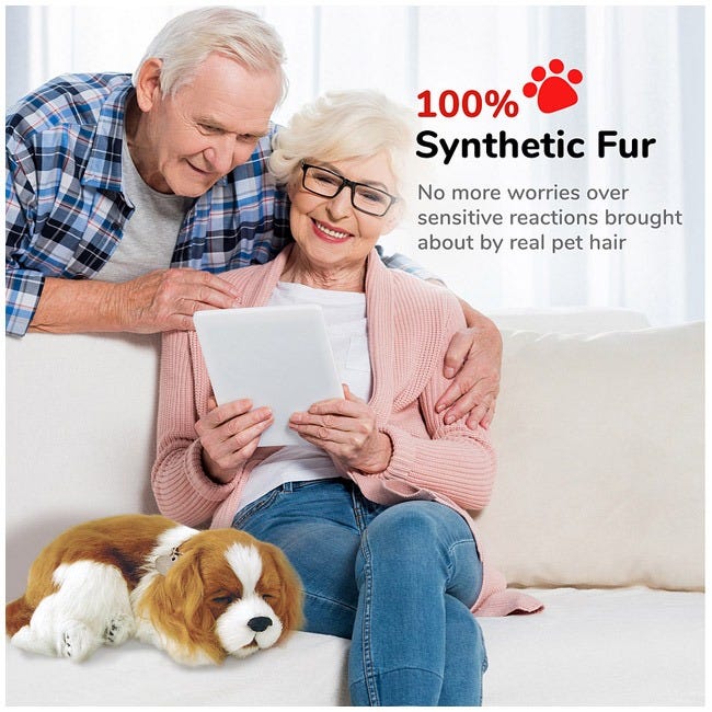 PERFECT PETZ CAVALIER KING CHARLES