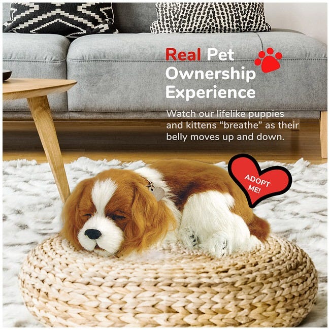 PERFECT PETZ CAVALIER KING CHARLES