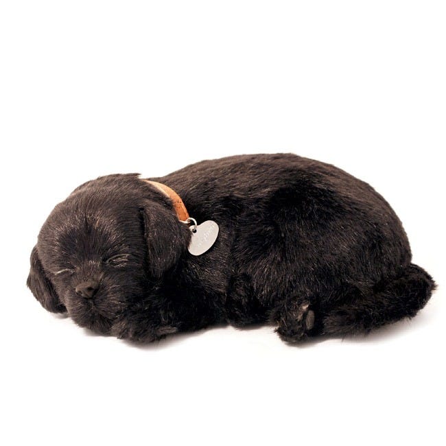 PERFECT PETZ BLACK LAB