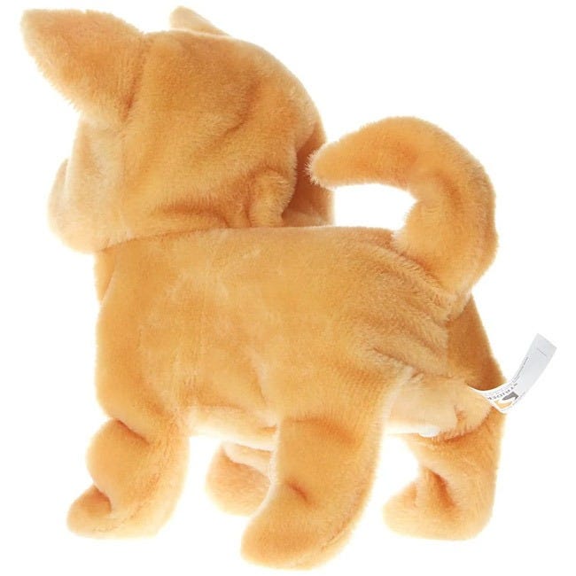 PUGS AT PLAY CHILLI ACTIVITY DOG