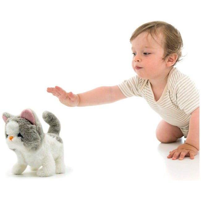 PUGS AT PLAY SASHA WALKING CAT