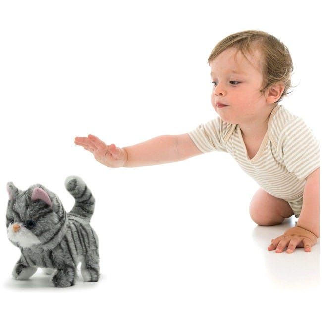 PUGS AT PLAY ZOE WALKING CAT