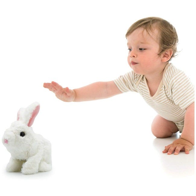 PUGS AT PLAY HOPPER JUMPING RABBIT