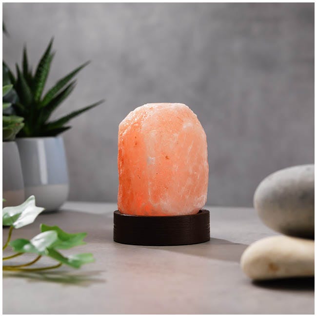 THE SOURCE MINI SALT LAMP